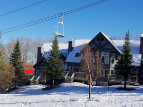 Lux 5BR 4BA SV125 SKI In Out, 18-hole Championship Golf Course, Water Park, pet friendly